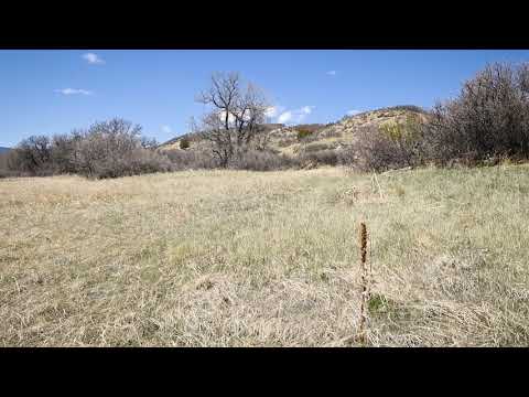 Sold by Compass Land USA - 0.2 Acres Investment Property Video in Colorado City