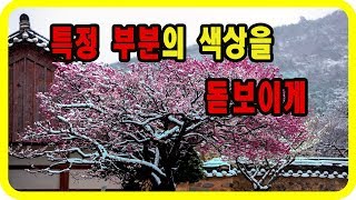 (포토샵 중급) 특정 부분의 색상을 돋보이게