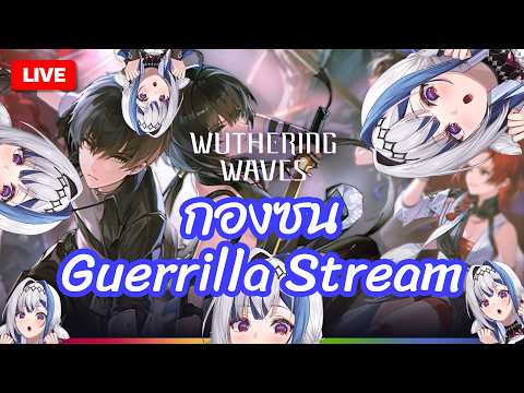Guerrilla Stream ✦ กองซน WUWA บทสลับฉาก เตรียมตัวเข้า 3.3!! | ZONA 🐳