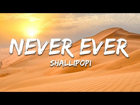 Shallipopi - Never Ever (Lyrics)