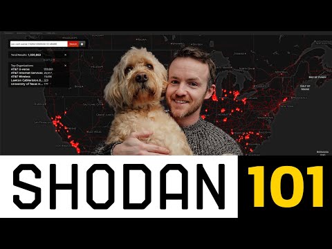 Shodan: A Beginner's Journey