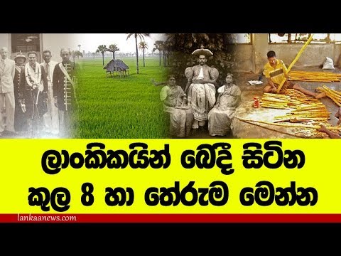 ලාංකිකයින් ඛෙදී සිටින කුලවල තේරුම මෙන්න - The People 's