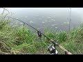 Carp Run Compilation CRAZY RUNS