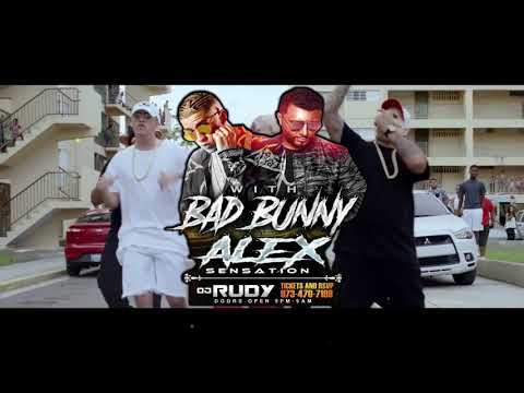 Bad Bunny Alex Sensation