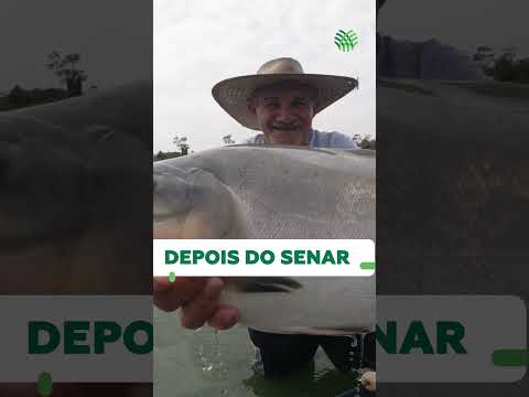 🐟Piscicultura transforma a vida de pescador em São Miguel do Tocantins