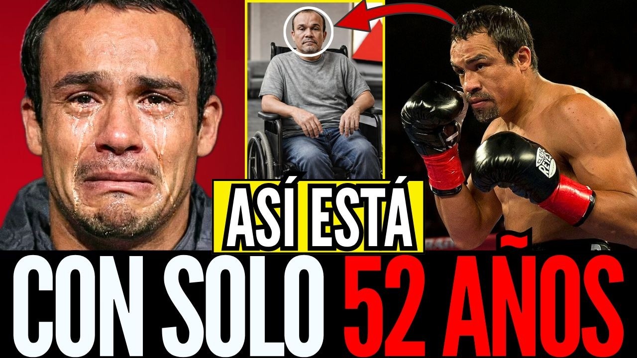 YouTube Thumbnail Downloader FULL HQ IMAGE