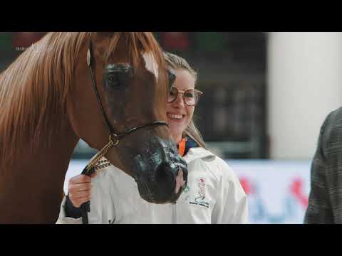 🌺 MARIEL BKV 🌺⁣ Bronze Champion Junior Filly, 2021 VERONA INTL. CUP ECAHO B SHOW
