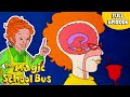 Makes A Stink Why Stuff Smells Full Episode The Magic School Bus