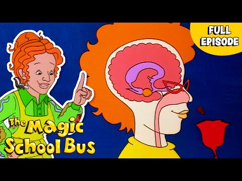 Makes a Stink | Why Stuff Smells | Full Episode | The Magic School Bus
