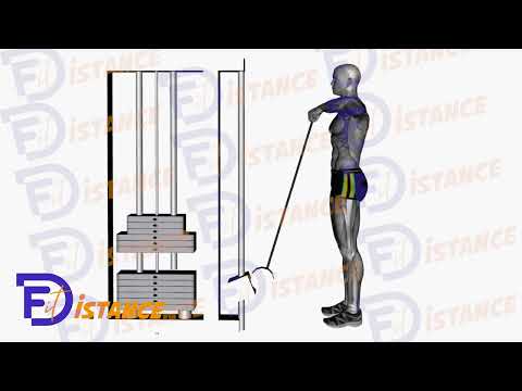 Tirage vertical avec câble - Exercice Tirage vertical avec câble en vidéo