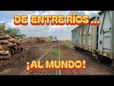 Las Vías del Gran Capitán | De Entre Ríos al Mundo: Así es la Descarga de Madera en Holt #2