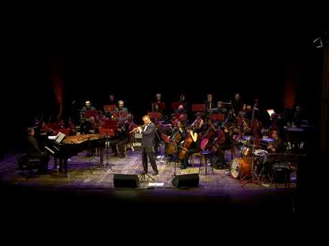 Andrea Griminelli : Vivaldi 'Four Seasons' - Presto from Summer (L'estate)