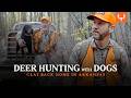 Clay Newcomb Hunts Deer Hunting With Dogs