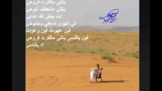 كلمات اغنية ياللي مافكرت في روحي محمد عبده