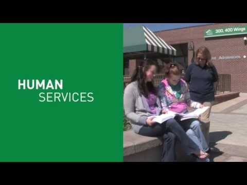 Human Resources YouTube