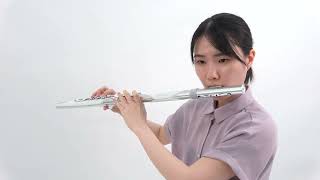 Video thumbnail for “Playing with Brisa fingering” Roland Aerophone Brisa #06 by Roland Support Channel