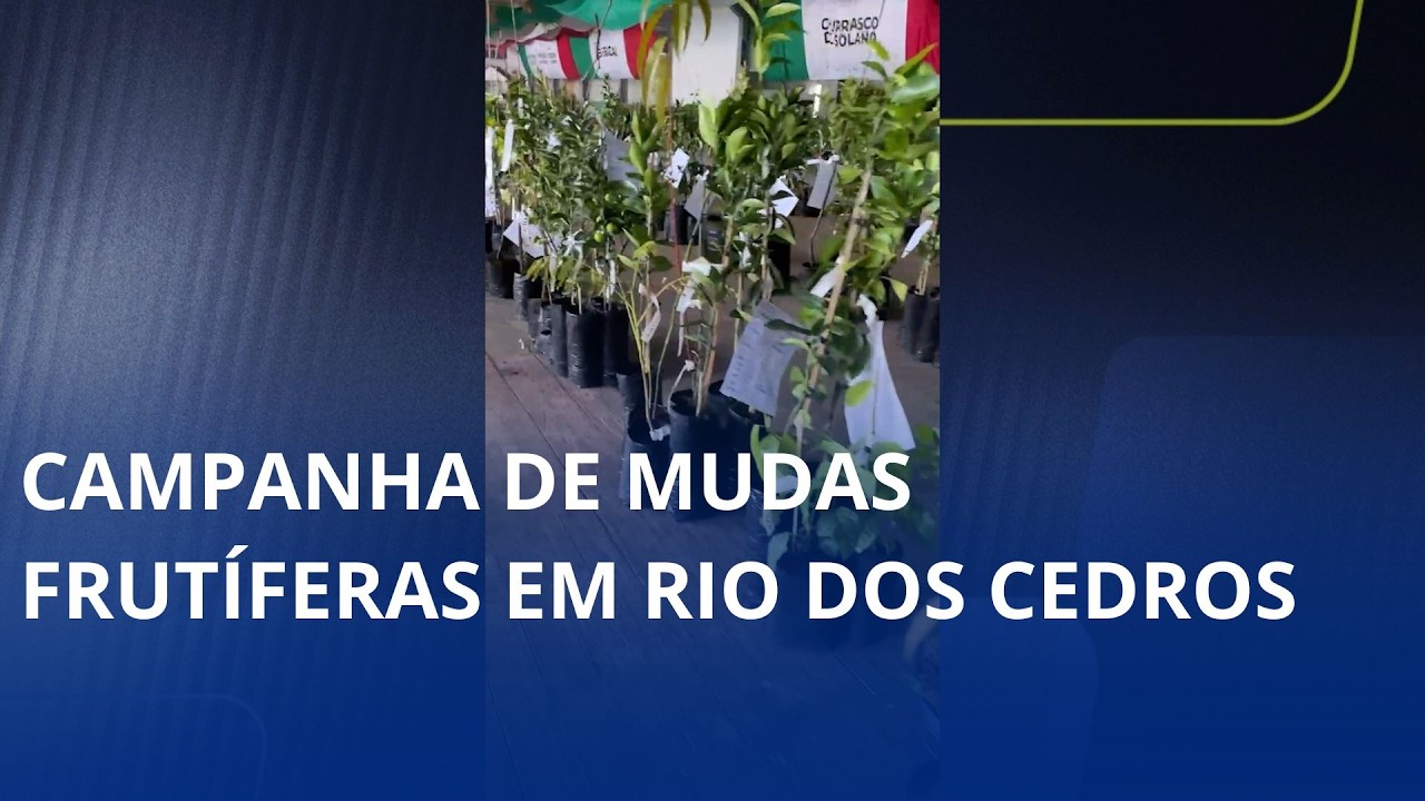 Em Rio dos Cedros, pedidos de mudas frutíferas podem ser feitos até o mês de junho