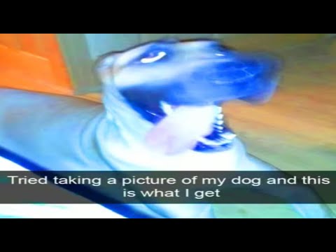 fresh fruit festival 100% (hard demon)