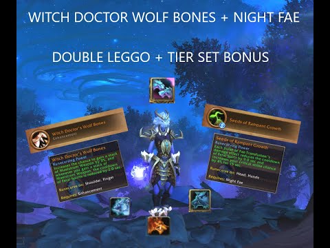 WITCH DOCTOR WOLF BONES + NF | PTR testing Double leggo + Tier sets | Enhancement Shaman builds!
