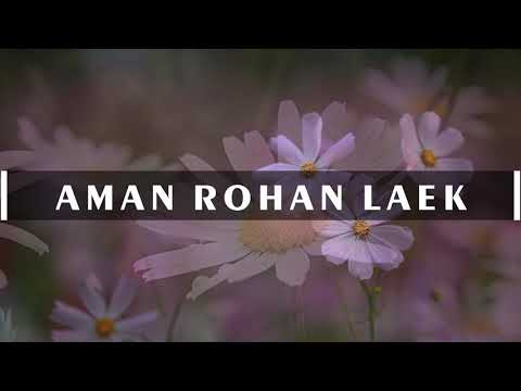Aman rohan laek