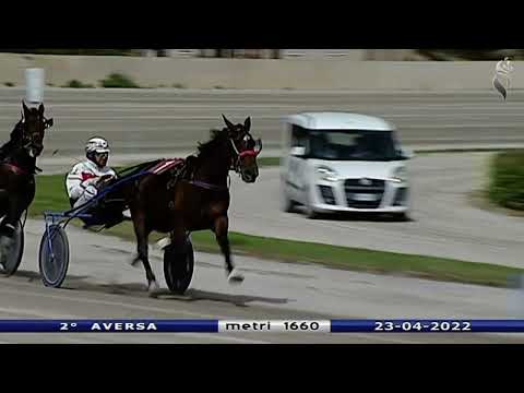 Aversa trotto 23 Aprile 2022 - 2° Corsa