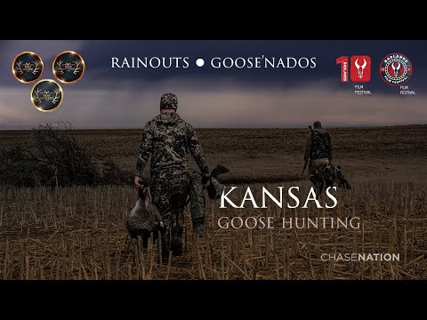 GOOSE HUNTING in Kansas for Specks, Snows, Blues and Canadas