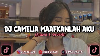 Download lagu DJ CAMELIA MAAFKANLAH AKU || SLOWED & REVERB || SOUND DJ VIOLIN mp3