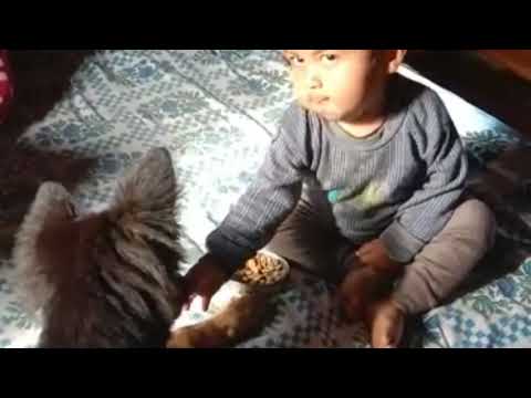 BABY DOG FEEDING BY A CUTE BABY ABHIGYAN 21042020