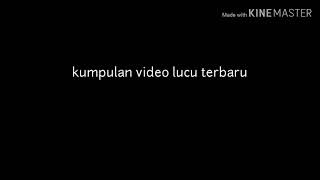 Download lagu Kumpulan video lucu viral terbaru 2019 mp3 Download lagu Kumpulan video lucu viral terbaru 2019 mp3