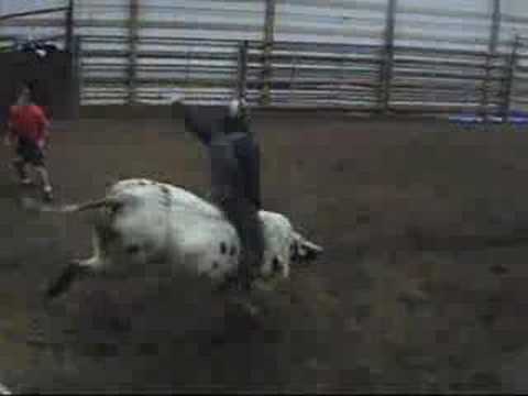 Lot #2344 - Jaron Nunnemaker Bull - Video 4 of 6