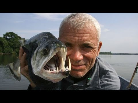 River Monsters S9E02  Le retour du poisson-chat tueur FRENCH/FRANCAIS