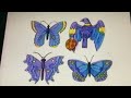 Sesame Street Ladybug Blue Butterflies And A Blue Bird