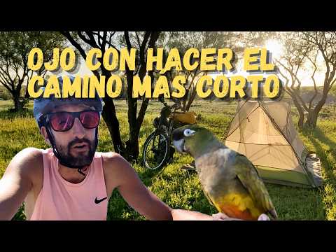 YO VINE A HACER OTRA COSA