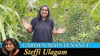 Garden maintenance Vlog in Tamil | My weekend work in the Garden