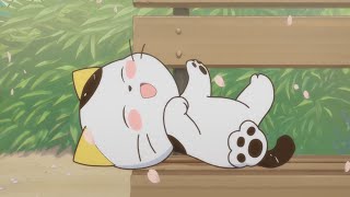 애푸덕 유튜브 "부활" (짧뱅)