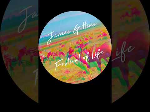 Austin Leeds remixes James Gittins Festival of Life