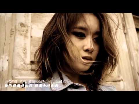 (中文字幕) 가끔 - 지아(Zia) Sometimes (T-ARA.Ver)