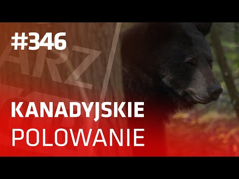 Darz Bór odc 346 - Kanadyjskie polowanie