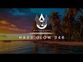 1 hour Melodic/Organic/Progressive House 2024 DJ & Electric Violin Mix by Alfiya Glow | Haus Glow 46