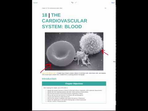 SC4 BIO 272 Blood Chapter 18 Part 1 (18.1)