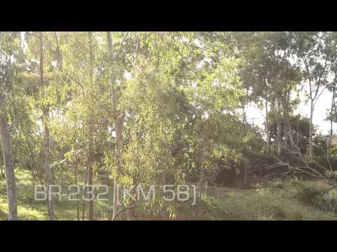 BoiKOT#6 - Oficina de Coisas