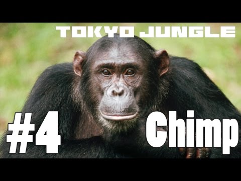 Tokyo Jungle: Chimpanzee Survive over 100 years  Part 4 of 4