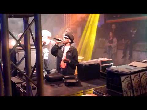 Blackboard Jungle Sound System  ft  Anthony Johnson @ Reggaebus festival,Brussel,30 08 2014