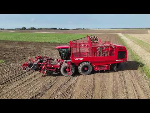 New 2025 Vervaet Beet Eater 625 in action | Supplied by J Riley Beet Harvesters (UK) Ltd