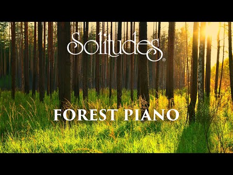 Dan Gibson’s Solitudes - A Path to Solitude | Forest Piano