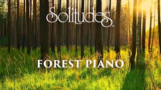 Dan Gibson’s Solitudes - A Path to Solitude | Forest Piano