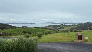 New Zealand Cruise 5 - Auckland and Waiheke Island