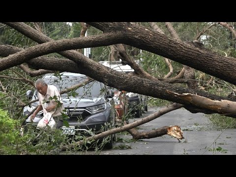 Taiwan cleans up after Typhoon Krathon batters south | AFP