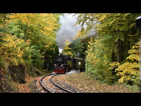 Anfang Oktober bei den Harzer Schmalspurbahnen 