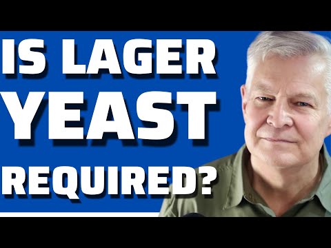 Ale or lager yeast? | Best Choice for Lager Brewing and Fermentation
